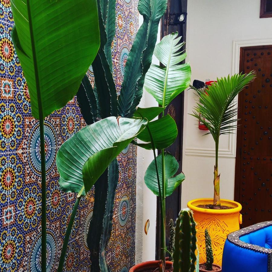 Riad Heklek Marrakesh Eksteriør bilde